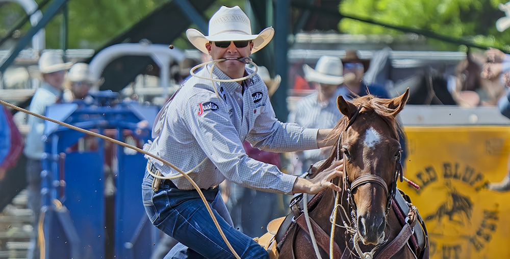 Chet Weitz is wearing a straw hat and dismounting his brown horse with a piggin string in his mouth.